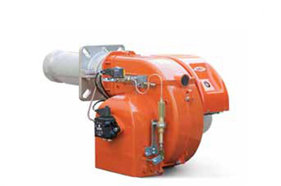 BT250DSG,BT300DSG,3-4��ȼ���C(j��)