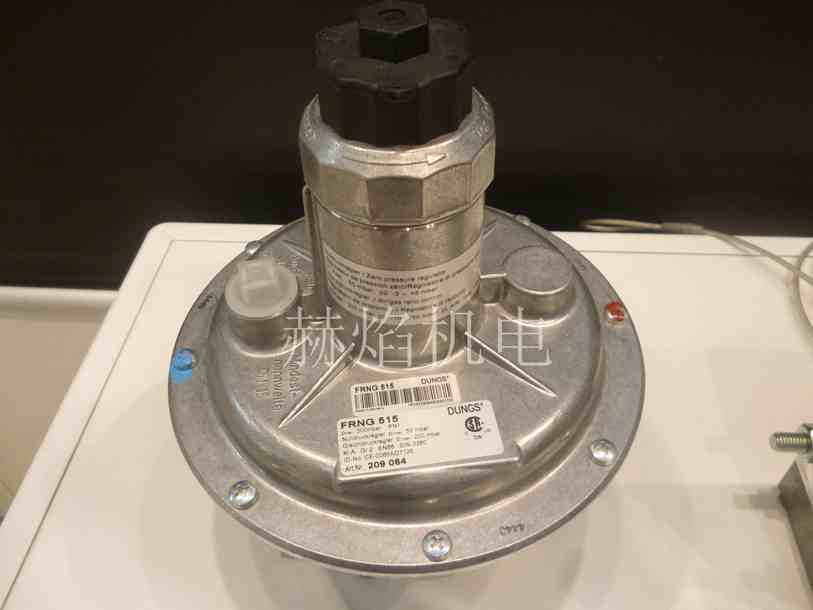 FRNGϵ���㉺�y ��(gu��)(Dungs)��˹