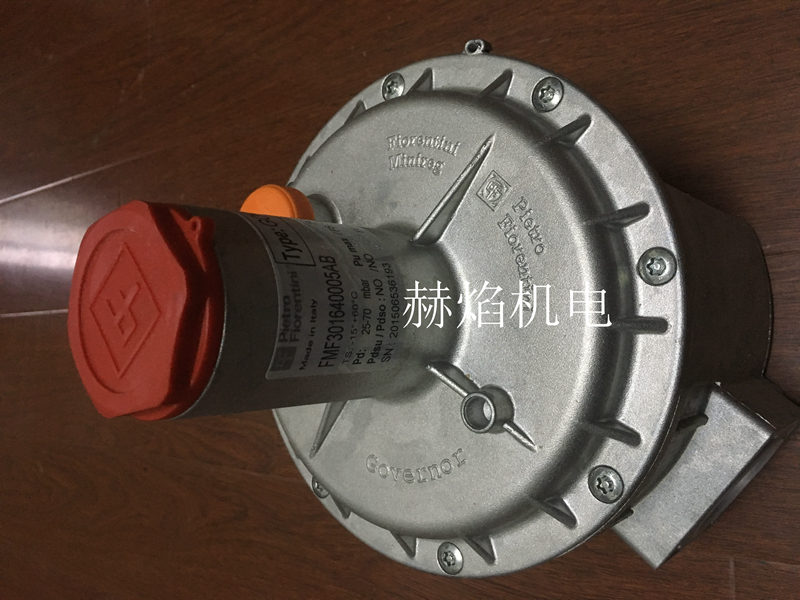 300-310ϵ���{(di��o)���y �ƊW���������fiorentini