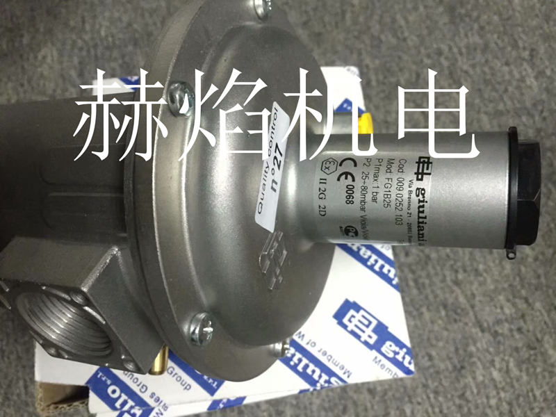 FG..ST�M�ډ���0.5-1bar�p���y ��������